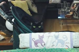 FIX THIS STROLLER! I'm 'sitting'-in' this stroller until it gets fixed!