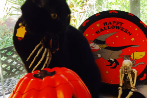 WHA IZ 'ZAT ON MY TAIL? What's on my tail? Help!!