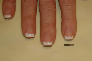 A MICROCHIP This is a microchip.