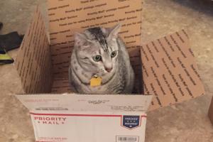 I WANT AN ADVENTURE! Send me somewhere, anywhere. I want an adventure!!