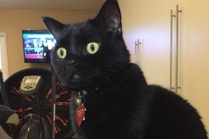 Sophee said what?  That I 'go' crazy?