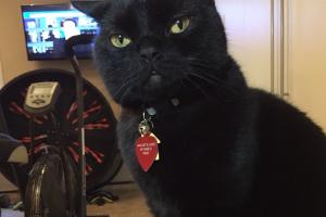 I'm trying to understand you.  I groom you, play with you and you call me crazy?