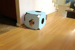 THE BLUE BOX NAP-&-HIDE PLACE Me in my downstairs nap-&-hide place.